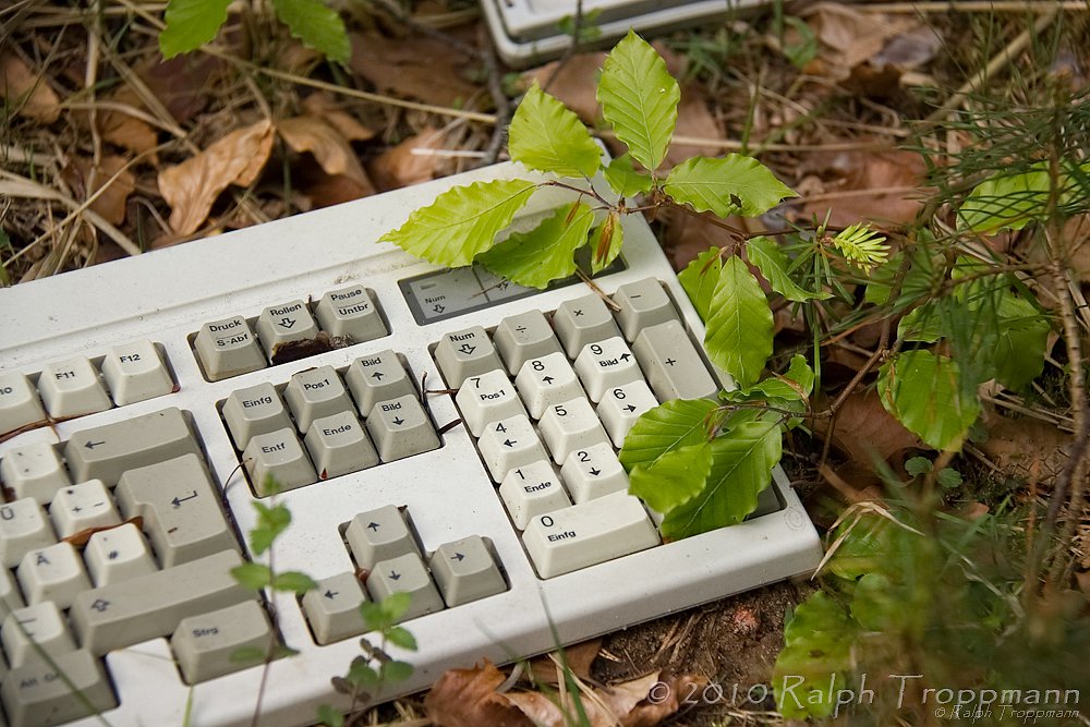 "Natural Keyboard"