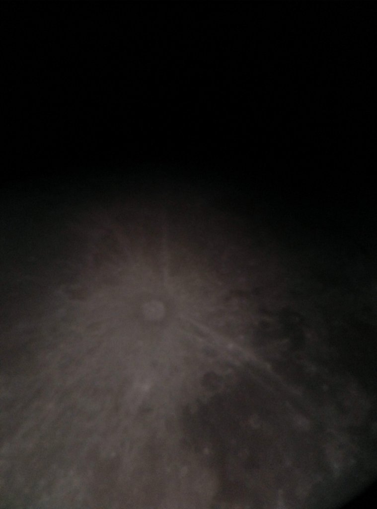 Mond-07042020-Detail.jpg